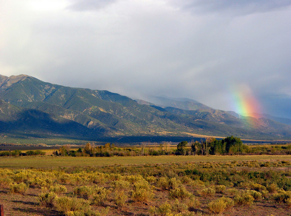 rainbo