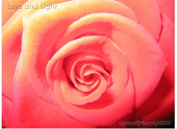 Love & Light©
