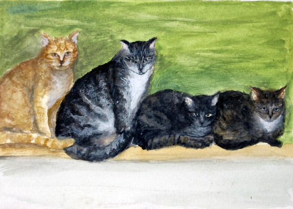 Cats