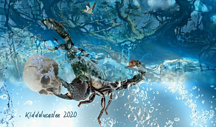 Small Skull Collector*  2020 Kiddolucaslee