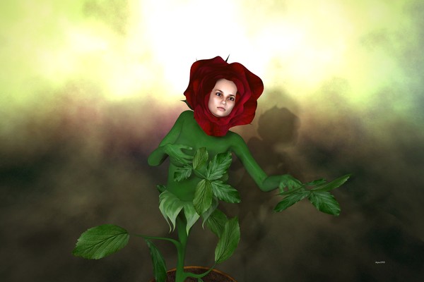 the Gardening