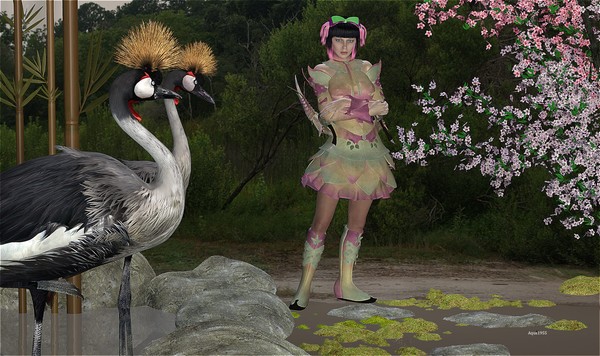 Dancing as the Cranes