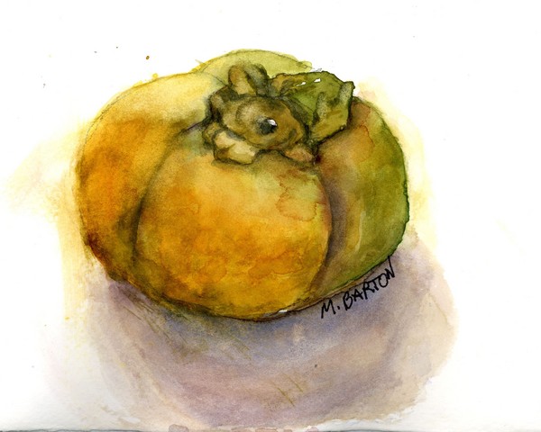 Persimmon