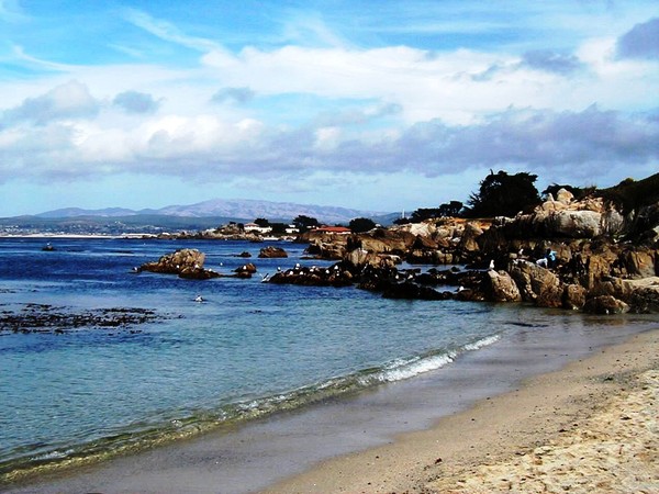 Monterey Shoreline