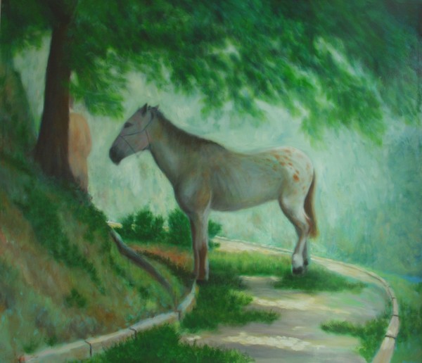 horse in shadow