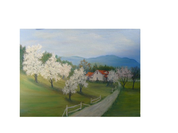 A  Day in the Country