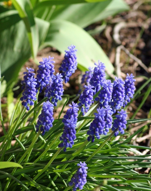 April