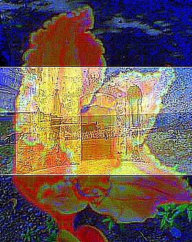 Collage 3 -1
