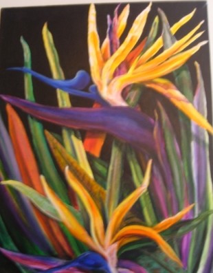 BIRD OF PARADISE 