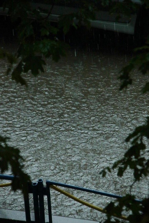 Deluge