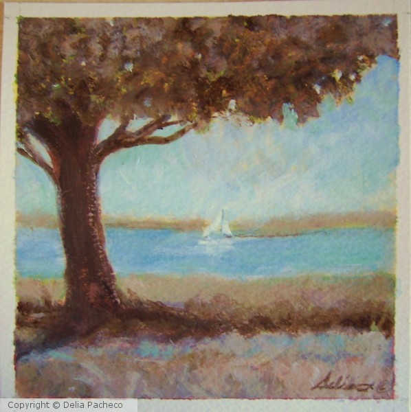 sailing