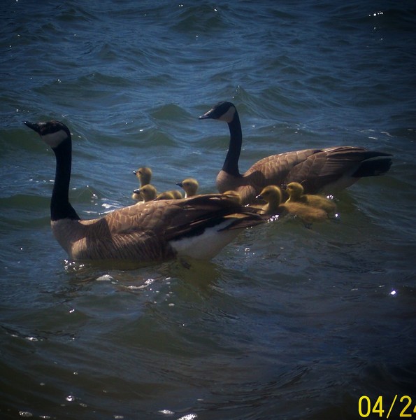 Day out on the river