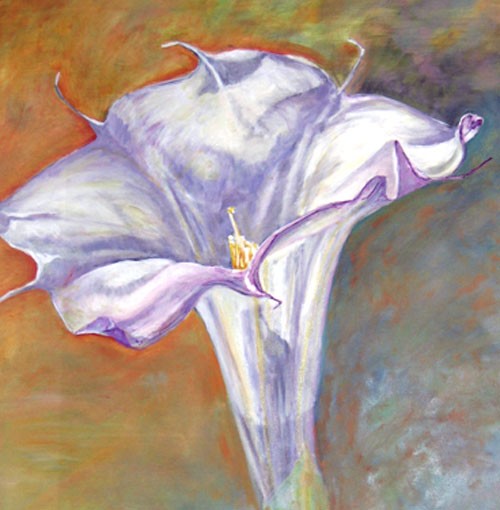 Datura