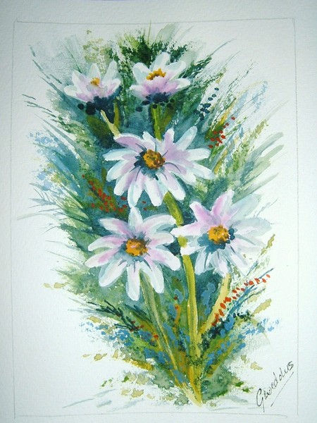 daisies