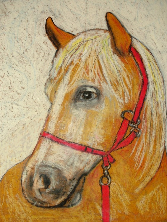 Baltieri's horse