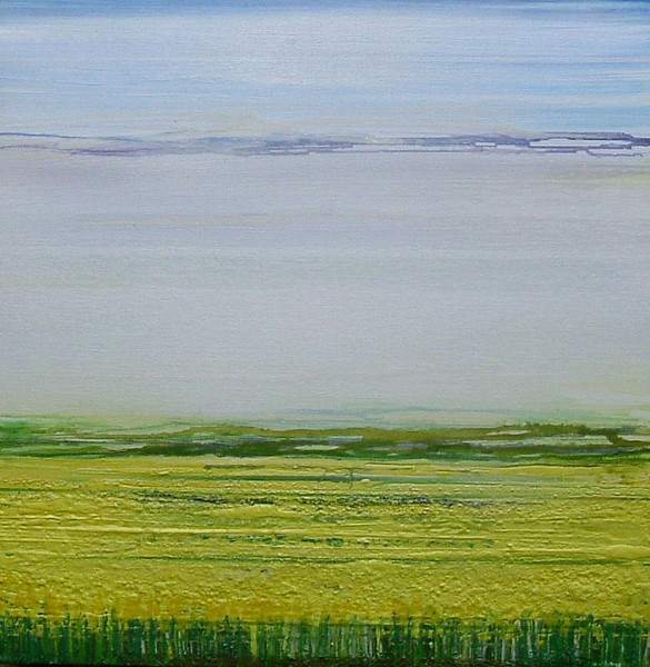 Oil Seed rape Fields 16mb