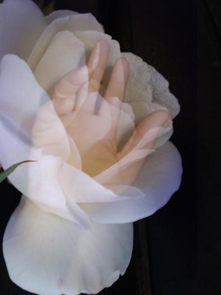 Rose Hand