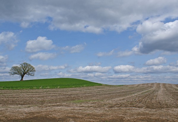 Wisconsin Landscape