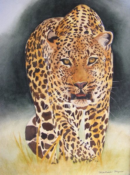 prey in sight