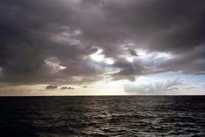 Rays