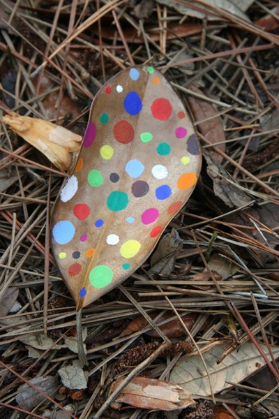 fig. 1: leaf of the clown tree
