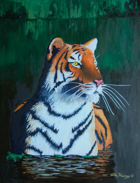 Tiger Bath