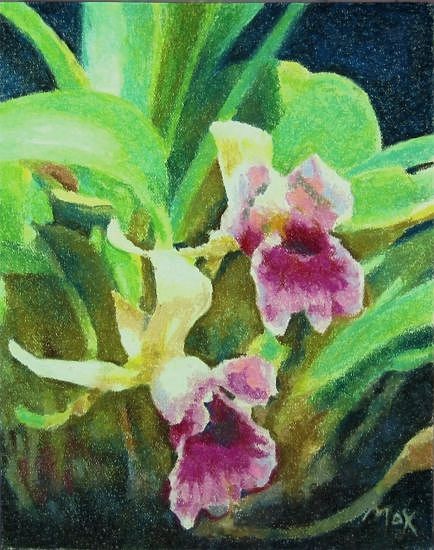 Two Pink Orchids