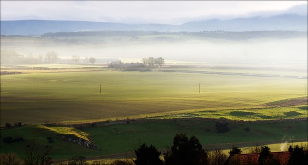 Autumn Mist