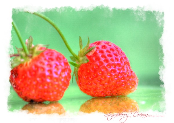 Strawberry Dream.......