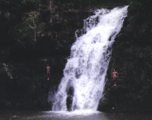Hawaian Cliff Divers