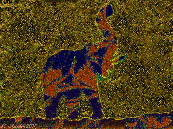 Patterned Elephant