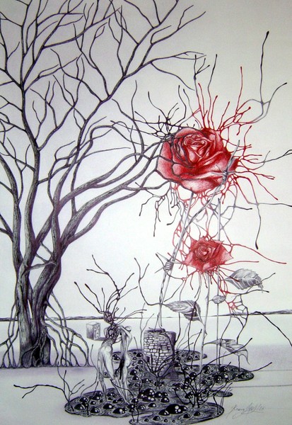 metemorphose of a rose