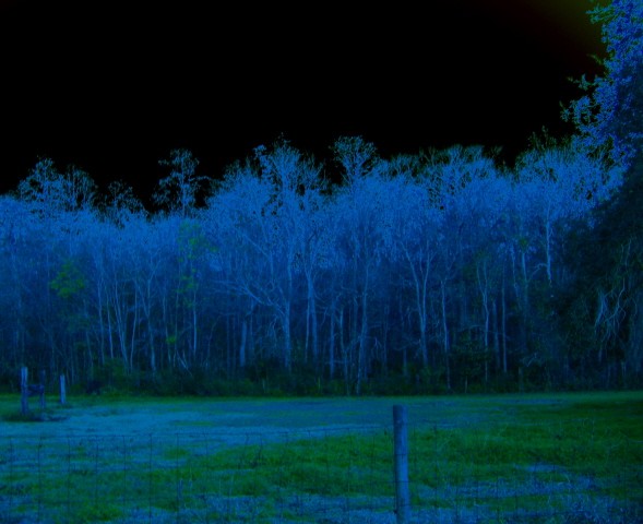 under the blue moon