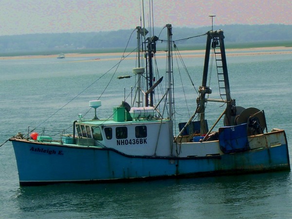 Same Boat