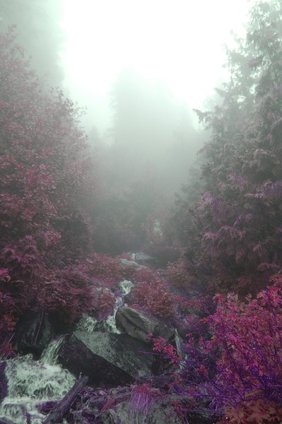 Mountain Stream