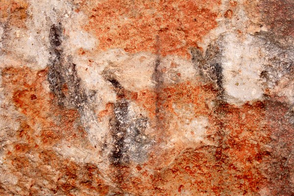 Desert Spirits