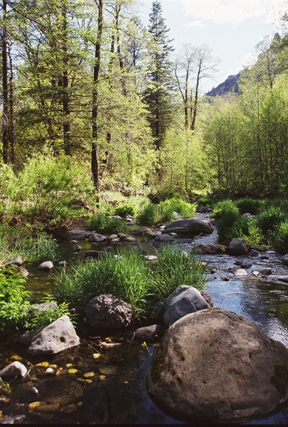 Oak Creek Canyon