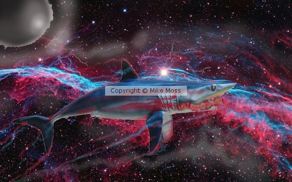 Mako In My Space
