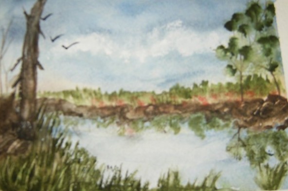 water scene