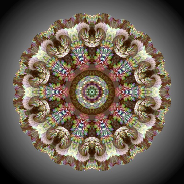 Devotional Mandala II