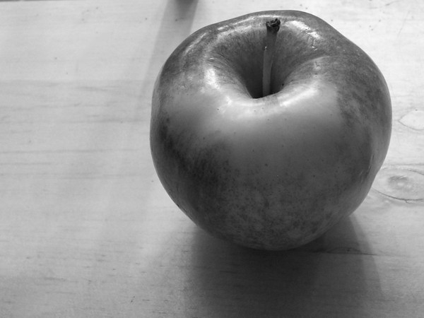 Soliloquy. Photo.