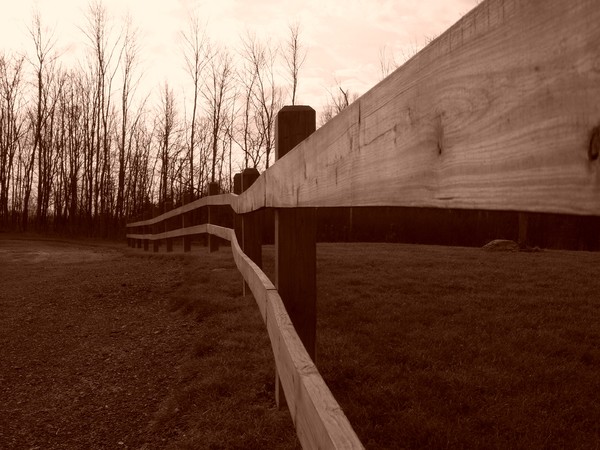 The long fence