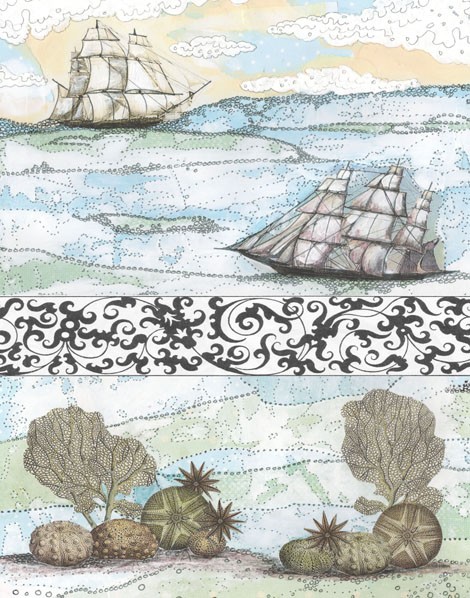 Boats and Coral