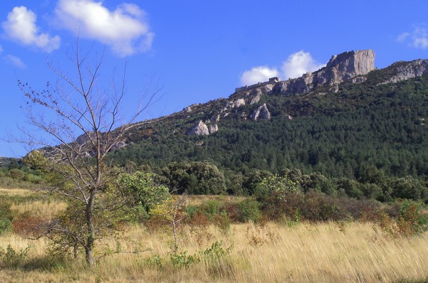 Chateau de Peyrepertuse