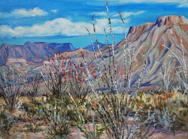 Ocotillos in Bloom