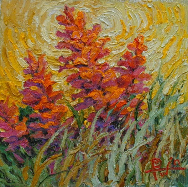 Penstemons