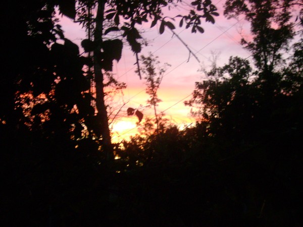Sunset Hues