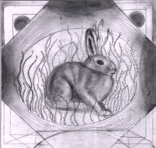 Bunny I