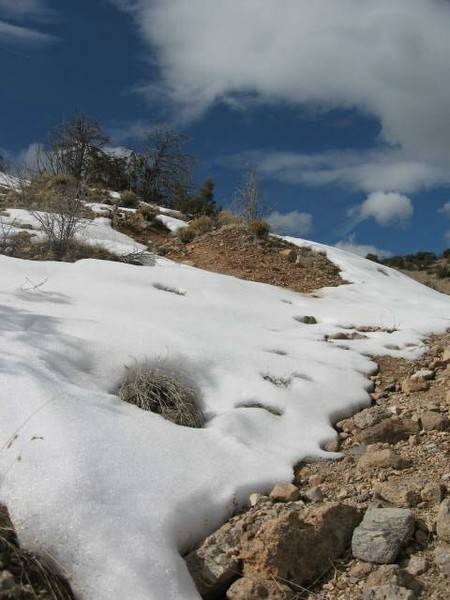 Snow Meeting Sky