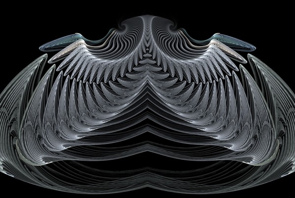Shells 34